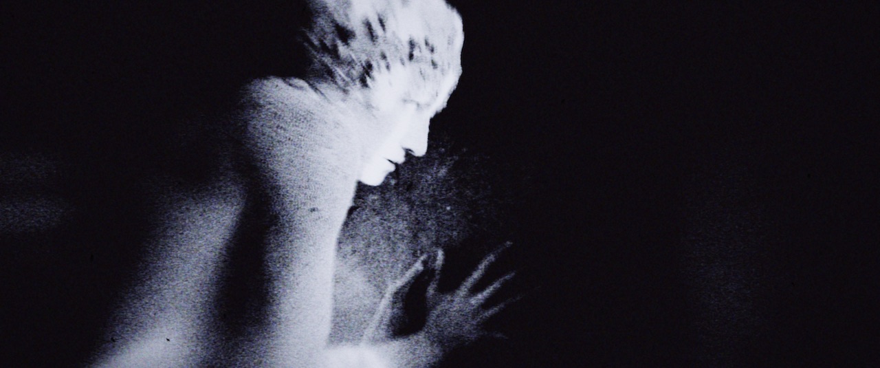 E. ELIAS MERHIGE — POLIA & BLASTEMA