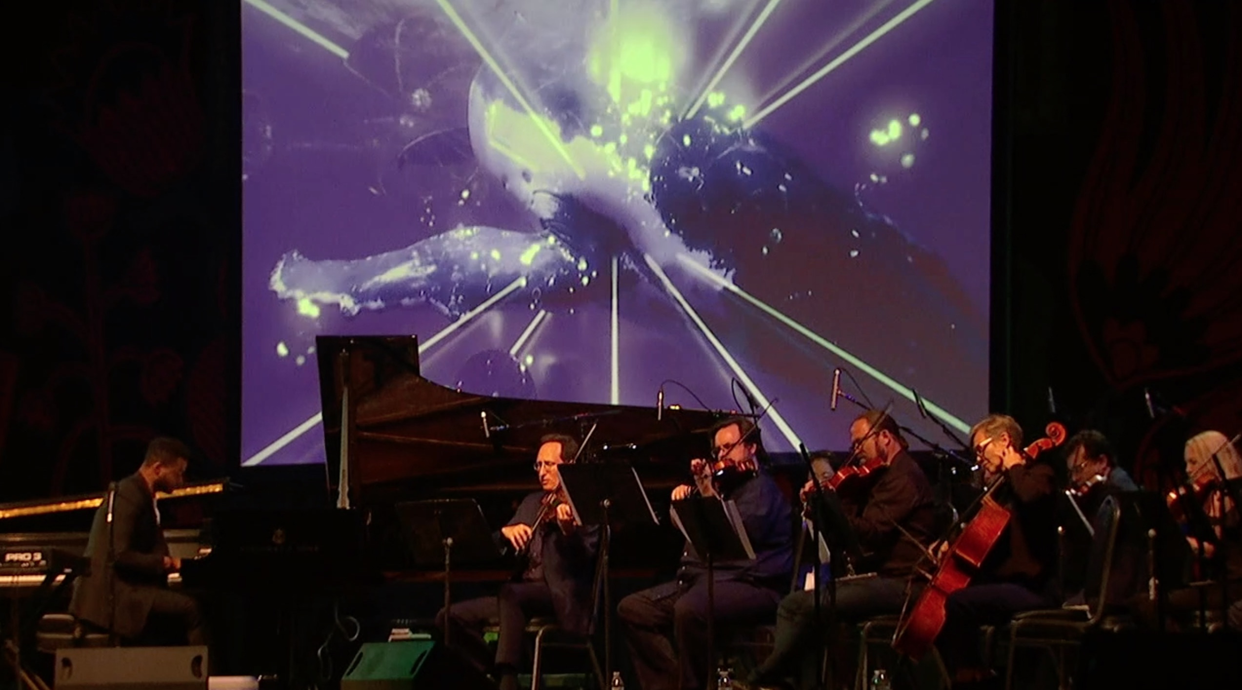 KRIS BOWERS — CONCERT VISUALS