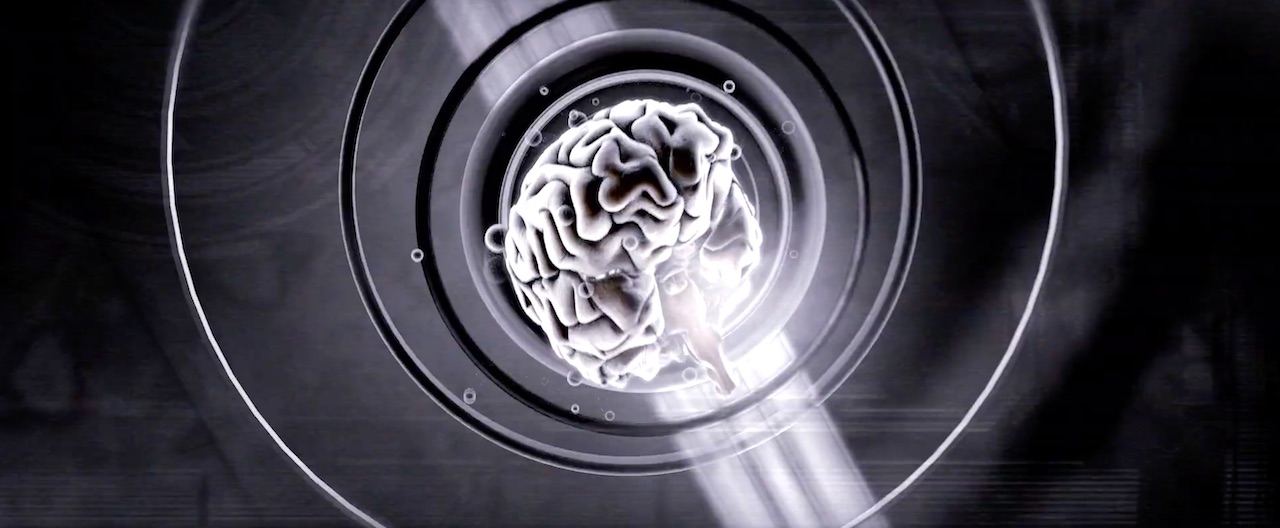 DOGBLOOD — NEW ORDER