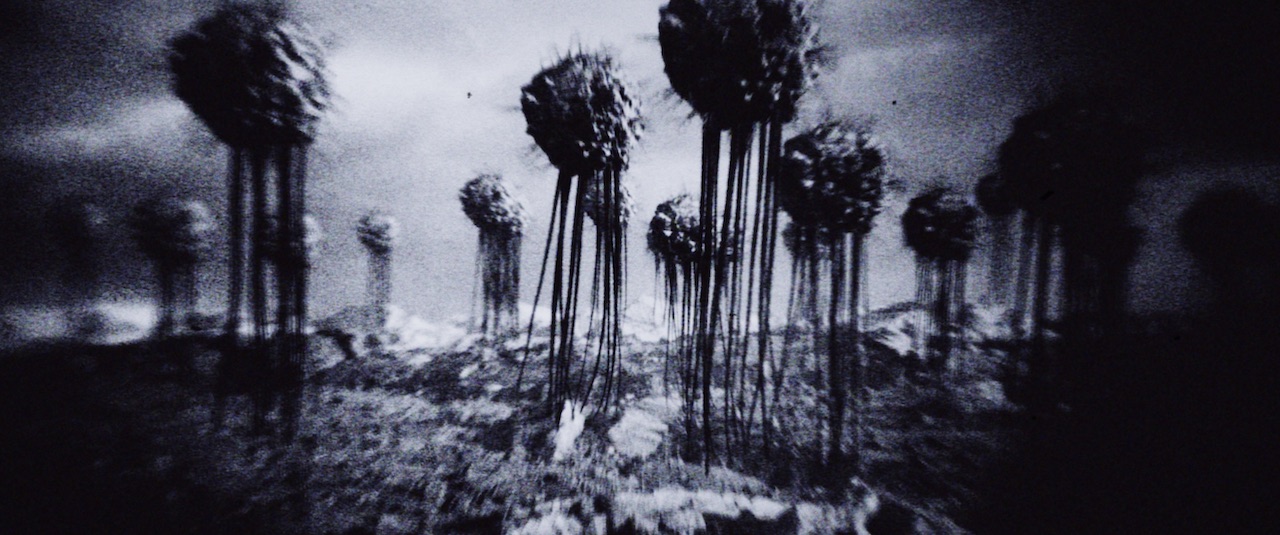 E. ELIAS MERHIGE — POLIA & BLASTEMA